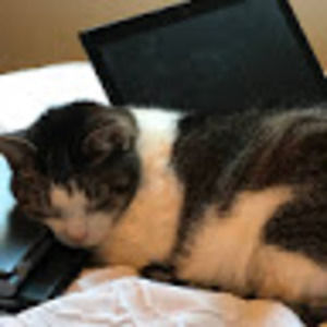 Meet your Posher, Susan